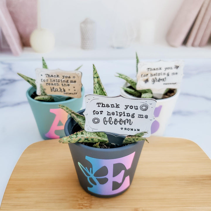 End of the Year Teacher Gift - Thank You for Helping Me Grow Plant Marker for Teacher Appreciation - Succulent Sticks for Teacher Gift