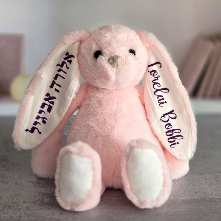 Jewish Baby Naming Gift, Custom Plush Bunny for Kids, Personalized Jewish Name Bunny for First Birthday, Hebrew and English Stuffy for Child