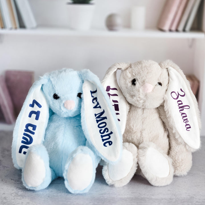 Personalized Am Yisrael Chai Plush Bunny Rabbit, Jewish Baby Naming Gift, Custom Plush Bunny for Kids, Hebrew and English Stuffy for Child Salt and Sparkle