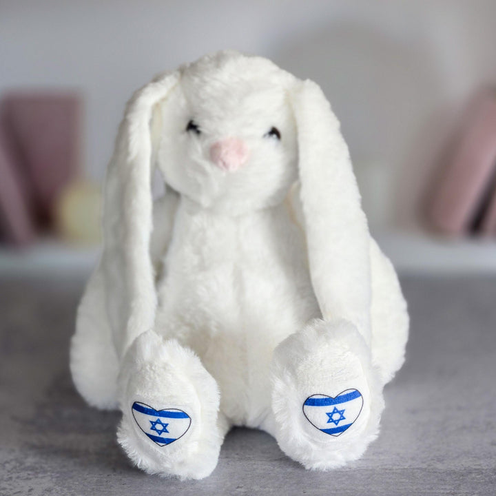 Personalized Am Yisrael Chai Plush Bunny Rabbit, Jewish Baby Naming Gift, Custom Plush Bunny for Kids, Hebrew and English Stuffy for Child Salt and Sparkle