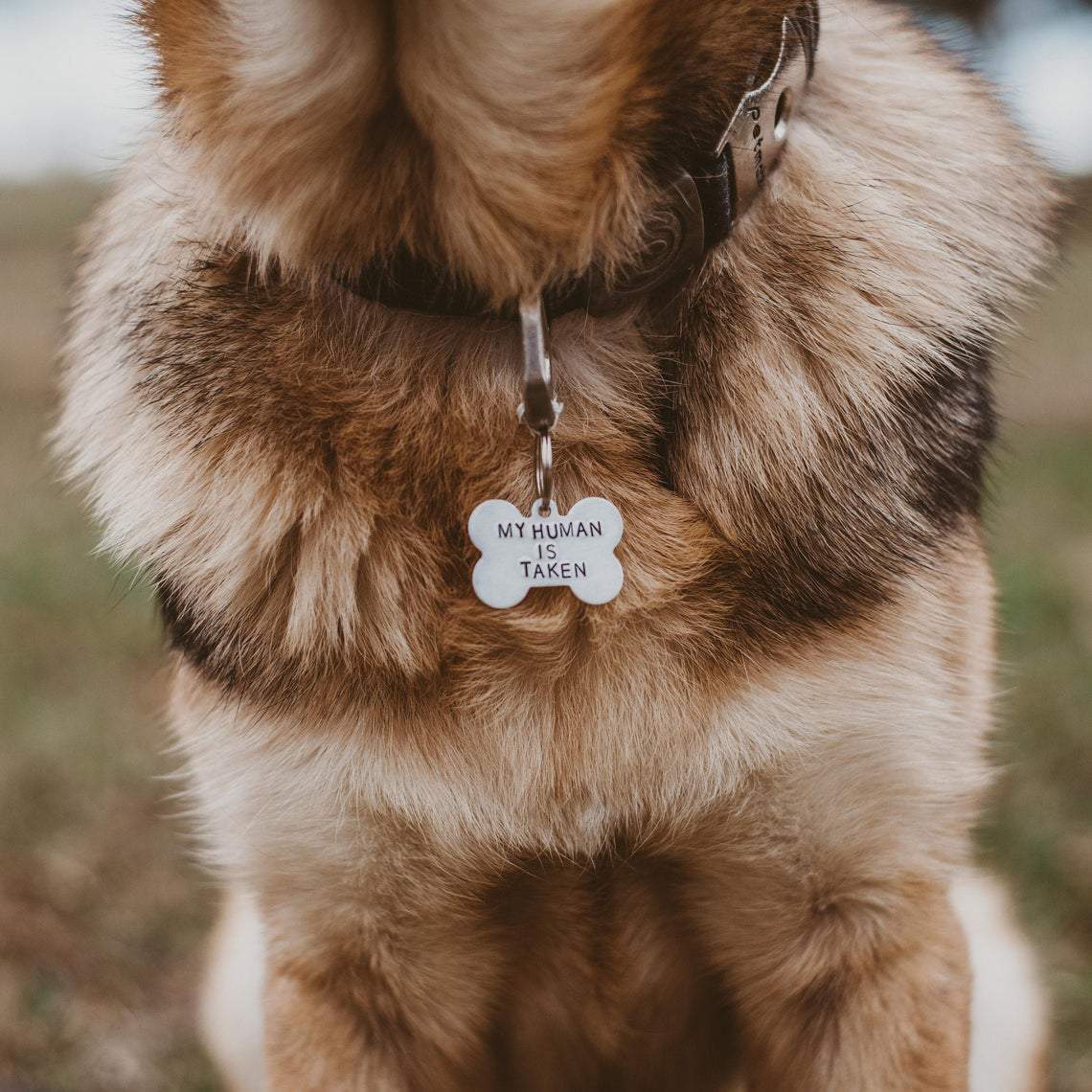 MY HUMAN IS TAKEN Bone-Shaped Pet Tag Salt and Sparkle